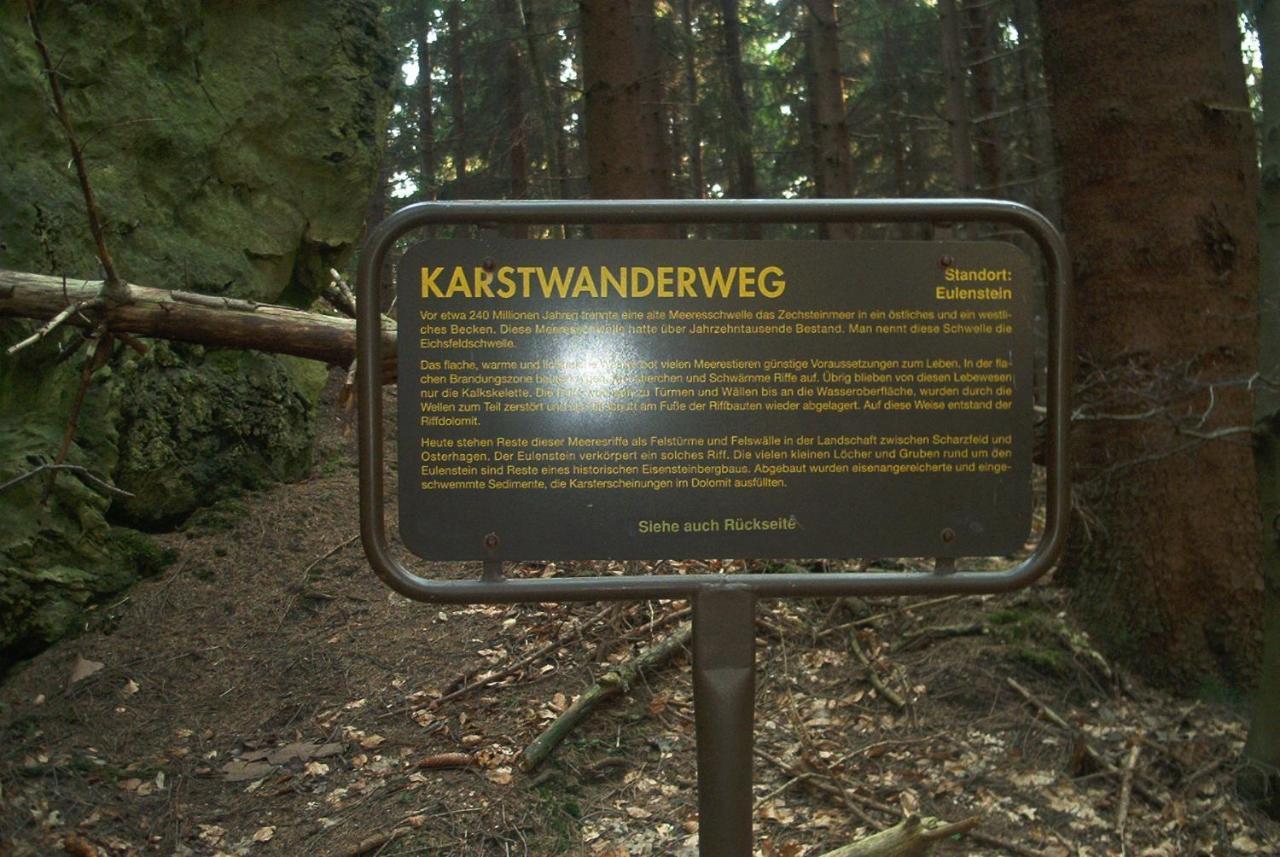 Ferienwohnungen Stricker Harz Walkenried Zewnętrze zdjęcie